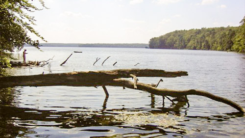 Der große Stechlinsee - (Foto: By Vater von Oktaeder - Fotografiert im August 2004, Public Domain, https://commons.wikimedia.org/w/index.php?curid=4256035)