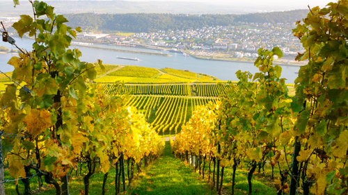 Bingen am Rhein - (Foto: ©instamatics/Getty Images/iStockphoto)