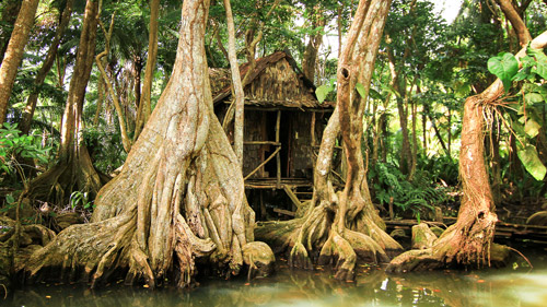 Die Hexen-Hütte aus "Fluch der Karibik" am Indian River - (Foto: ©Tadas Jucys/500px Royalty Free)
