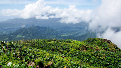 Der Morne-Trois-Pitons-Nationalpark - (Foto: ©Discover Dominica Authority)