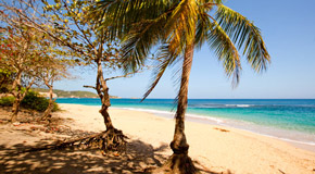 Der Wood Ford Hill Strand auf Dominica  - (Foto: ©Discover Dominica Authority)