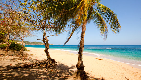 Der Wood Ford Hill Strand auf Dominica  - (Foto: ©Discover Dominica Authority)