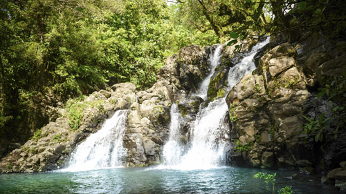Ein Wasserfall im Dschungel von Taveuni - (Foto: ©KieselUndStein/Getty Royalty Free)