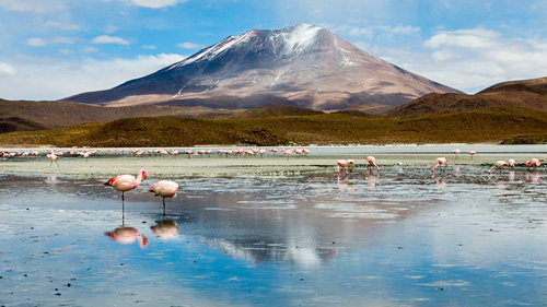 Flamingos auf einer Wasserfläche in der Salar de Uyuni - (Foto: © roberto zampino/BEAUTIFUL WORLD COLLECTION)