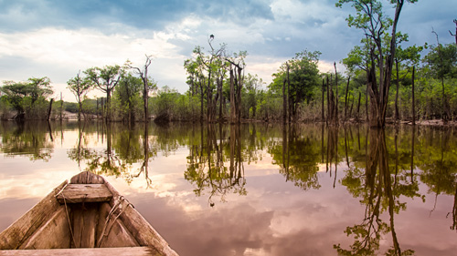 Amazonas Regenwald in Brasilien - (Foto: © Kim Schandorff/Getty Royalty Free)