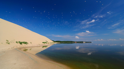 Kurische Nehrung nahe Selenogradsk - (Foto: ©KaiserSozo/iStock.com)