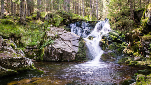 Kleiner Wasserfall im Retezat Nationalpark, Rumänien - (Foto: ©El_Peyote/istock.com) 