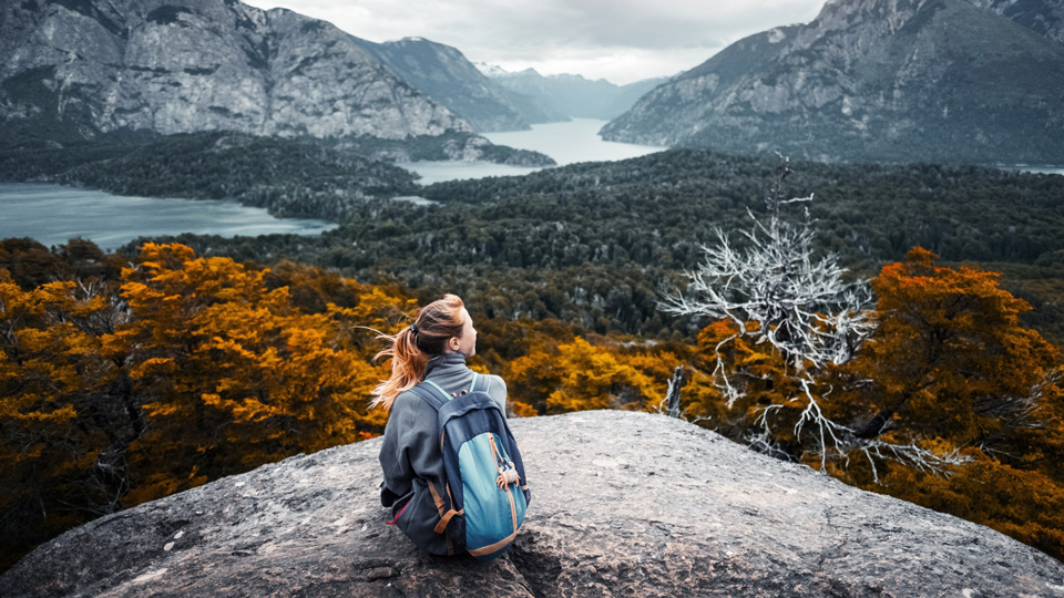 Einer großartigen Landschaft können Löwen nicht widerstehen - (Foto: ©Dudarev Mikhail/Shutterstock)