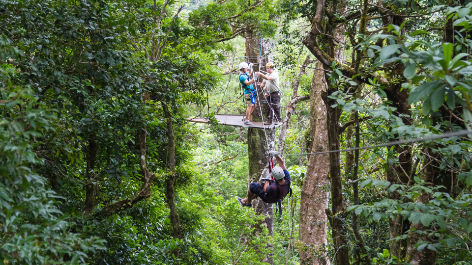 Der Monteverde Sky Walk in Costa Rica bietet neben tollen Hängebrücken auch noch Action für Abenteurer - (Foto: ©Wollertz/Shutterstock)