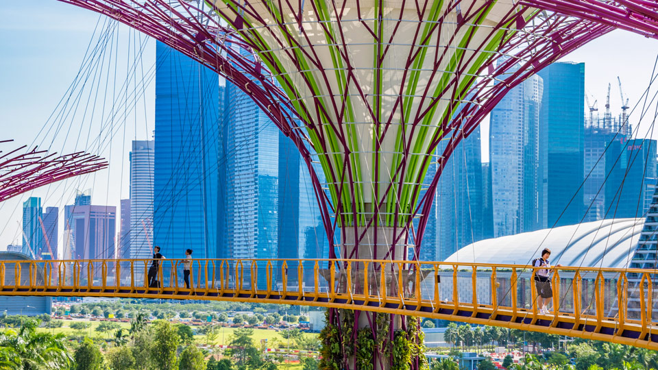 Weniger Wald, mehr Kunstwerke - den Supertree Grove in Singapurs Gardens by the Bay kann man von dem verzaubert anmutenden Skyway aus erkunden - (Foto: ©Takashi Images/Shutterstock)