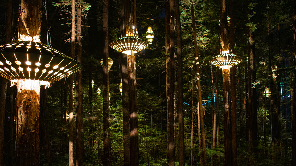 Redwoods Nightlights wird nach Einbruch der Dunkelheit mit massiven hängenden Laternen und Hologrammen von Walen illuminiert - (Foto: © Hakim Ouni/Shutterstock)