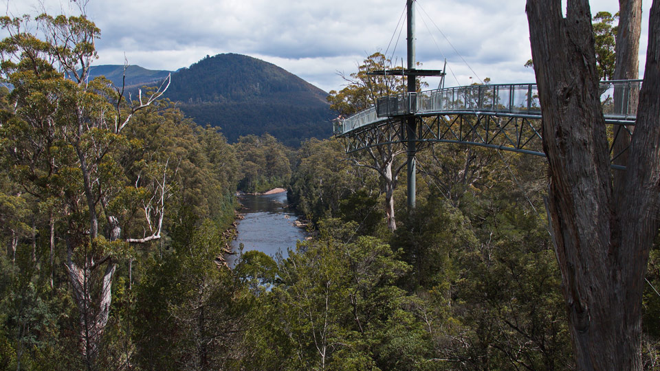 Ein freitragender Abschnitt des Tahune Airwalk erstreckt sich über den Huon River in Tasmanien - (Foto: © Karel Stipek/Shutterstock)