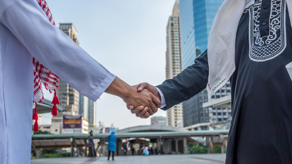 Während Handshakes auf internationaler Ebene beliebt sind, gibt es noch viele andere Möglichkeiten, sich zu begrüßen - (Foto: © May_Chanikran / Shutterstock)