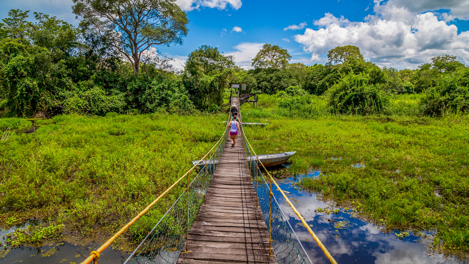 Es lohnt sich, eine seriöse Tour zu buchen, um die faszinierende Landschaft und ihre Wildtiere von allen Perspektiven aus zu erleben - (Foto: ©Hakat/Shutterstock)