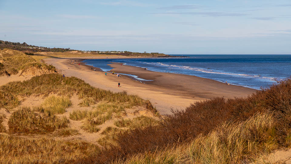 Selbst im Winter gibt es goldene Tage an der Brittas Bay - (Foto: Katrin Goldmann)