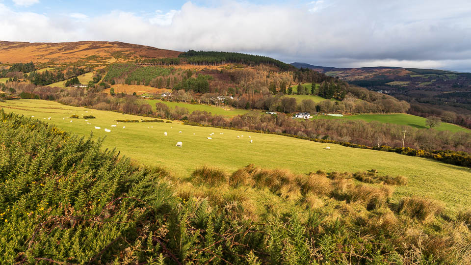 Ein typischer Blick auf die Landschaft von Wicklow - (Foto: Katrin Goldmann)