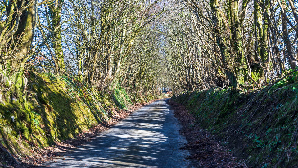 Eine typische Singletrack Road in Wales - (Foto: Katrin Goldmann)