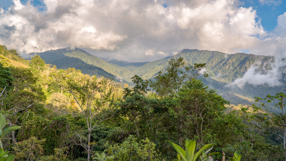 Der schwierige Aufstieg auf den höchsten Gipfel des Parque Nacional Chirripó belohnt mit traumhafter Aussicht - (Foto: ©Coddy/Getty Images)