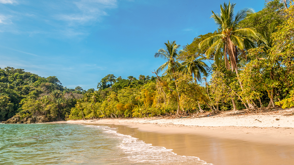 Im Parque Nacional Manuel Antonio liegt einer der schönsten Strände des Landes - (Foto: ©Simon Dannhauer/Getty Images)