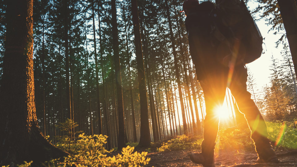 Der Hochschwarzwald ist voller malerischer Wanderwege - (Foto: ©audioundwerbung/Getty Images)