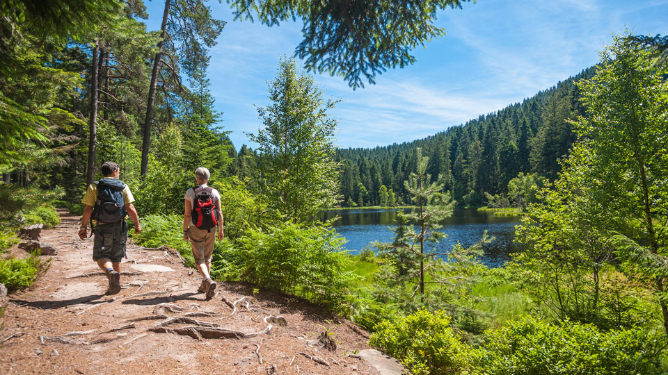 Wandern gehört zu den beliebtesten Freizeitbeschäftigungen in Deutschland - (Foto: ©audioundwerbung/Getty Images)