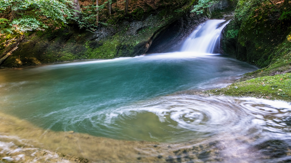 Seit Urzeiten formt der Fluss Obere Argen mit der Kraft des Wassers die Landschaft - (Foto: ©ErichFend/Shutterstock.com)