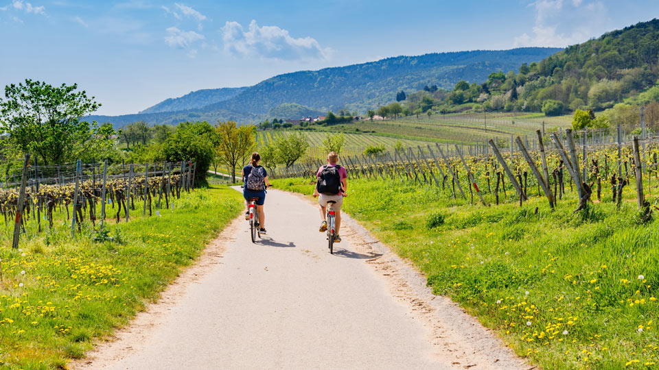 Deutschland ist ein Paradies für Radfahrer mit einer Vielzahl von Fernradwegen wie hier in Rheinland-Pfalz - (Foto: © nnattalli / Shutterstock)