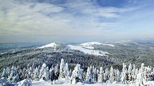 Winterlandschaft des Bayerischen Wald - (Foto: ©Bietau/istock.com)