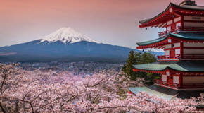 Es ist deine Entscheidung, deine Träume zu verwirklichen und jeden Tag mit einer Portion joie de vivre zu würzen - (Foto: ©Bule Sky Studio/Shutterstock)