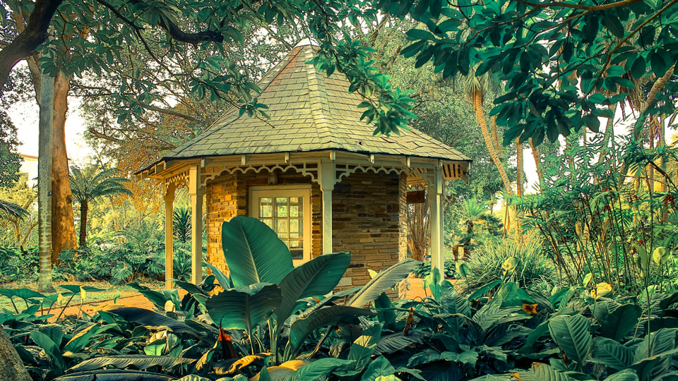 Faszinierende Vielfalt und üppiges Grün in den Durban Botanic Gardens - (Foto: ©Wildacad/Getty Images)