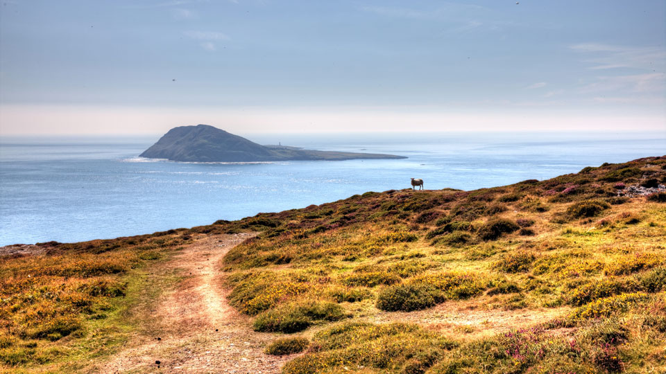 Die walisische Küste mit Blick auf die Insel Bardsey - (Foto: © tirc83 / Getty)
