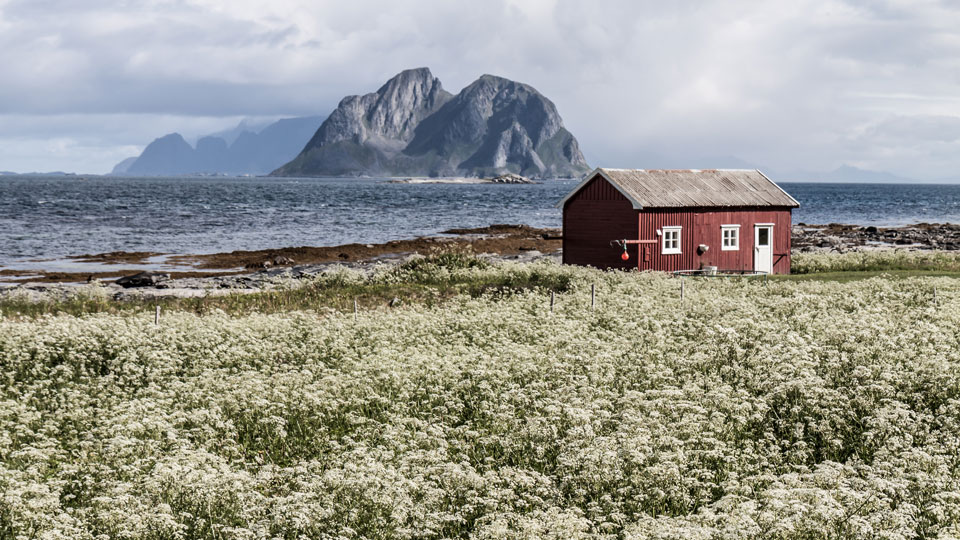 Einsam inmitten wilder Natur - auf der Insel Vaeroy auf den Lofoten spürt man die Elemente - (Foto: © Kochneva Tetyana / Shutterstock)