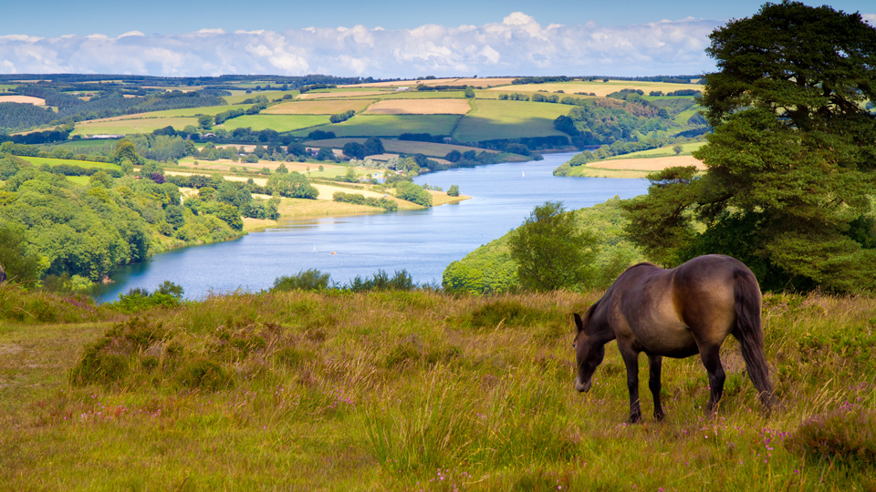 Bei Tag zeigt sich die Landschaft im Exmoor National Park malerisch, nachts funkeln die Sterne über dem Lichtschutzgebiet - (Foto: ©Mike Charles/Shutterstock)