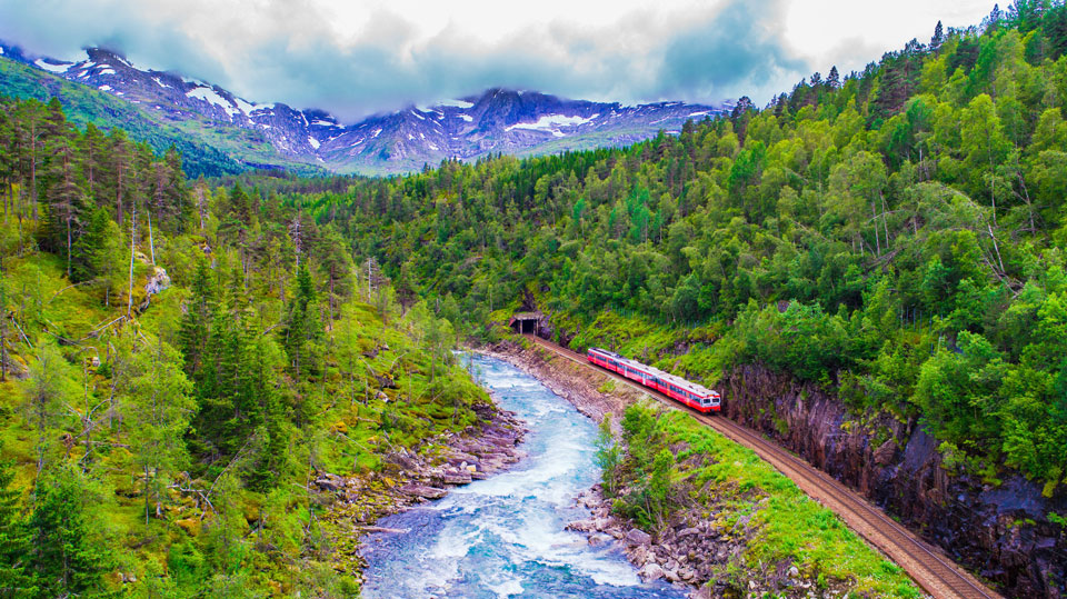 Natur pur: Auf der Strecke von Oslo nach Bergen fährt der Zug fährt entlang eines Flusses, umgeben von dichtem Wald - (Foto: ©Marius Dobilas/Shutterstock)