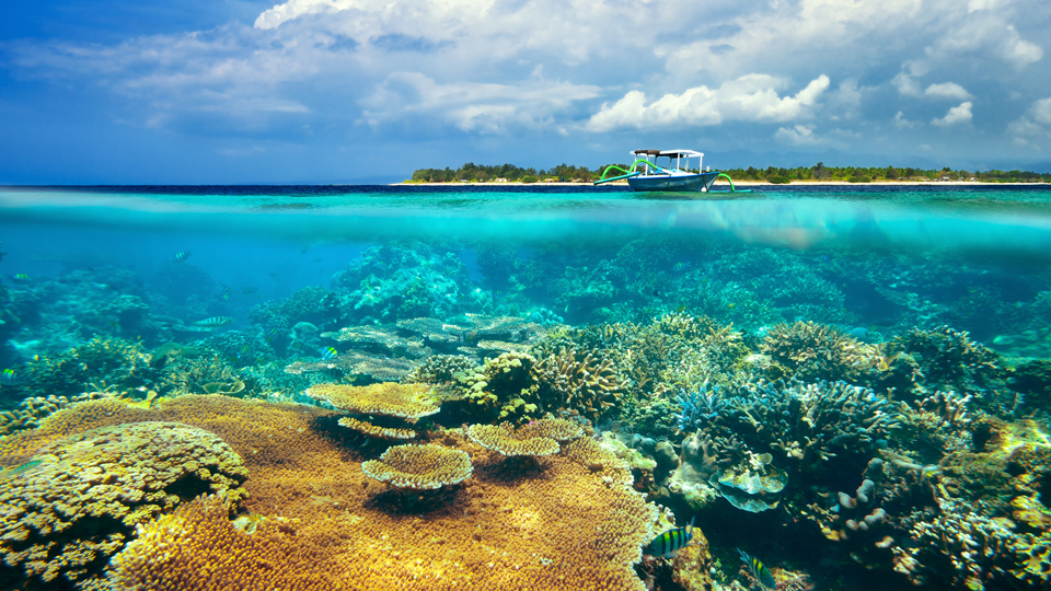 Herrliche Korallenriffe in kristallklarem Wasser vor der Küste von Gili Meno - (Foto: Soft_Light/Istock.com)