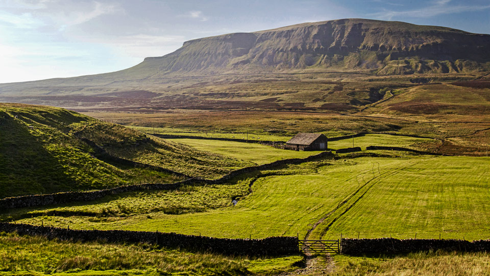 Die Dales sind eine unverwechselbare Landschaft mit malerischen Hügeln - (Foto: © Andrew Montgomery/Lonely Planet)