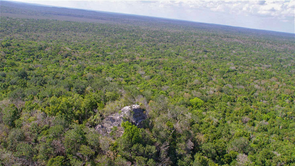 Endlos weiter Dschungelblick aus dem Hubschrauber und schließlich die Überraschung, wenn die Ruinen in Sicht geraten - (Foto: © Ray Bartlett/Lonely Planet)