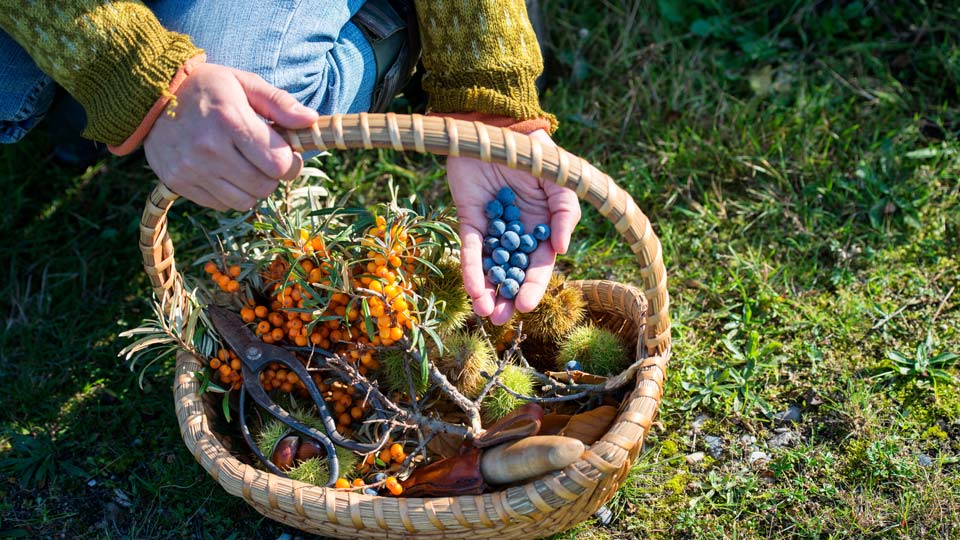 Mehr als ein angenehmes, wohliges Lebensgefühl: das dänische Hygge - (Foto: ©ClarkandCompany/Getty Images)