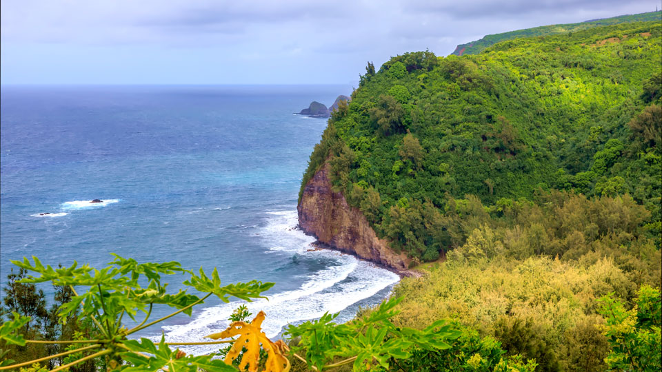 Die farbenfrohen Klippen des Pololu Valley, Big Island, Hawaii - (Foto: © David Shvartsman / Getty)