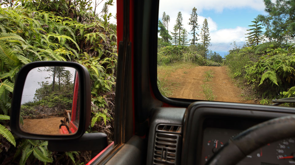 Mit dem Jeep lässt sich der raue Munro Trail, Lana'i, erkunden - (Foto: © Steven Greaves / Getty)