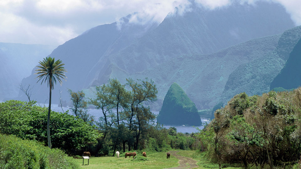 Blick auf die Kalaupapa-Klippen vom Pala'au State Park aus - (Foto: © Robert Holmes / Getty)