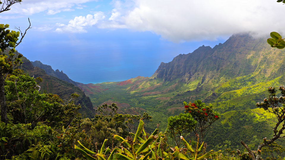 Üppiges Grün - die Aussicht auf das Kalalau Valley, Kauai - (Foto: © Marjolaine Tremblay / Getty)