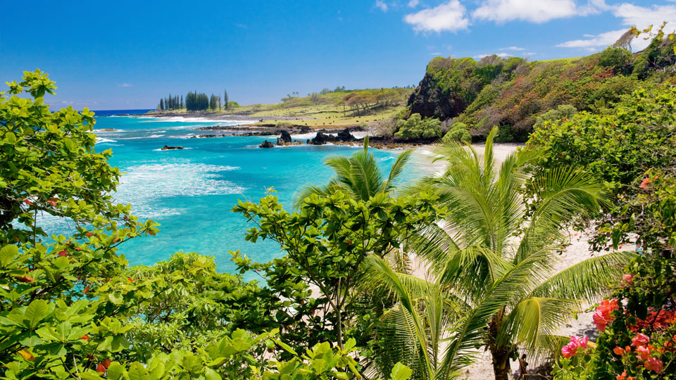 Tropischer Hamoa-Strand in Hana mit Palmen und blauem Himmel - (Foto: ©M Swiet Productions/Getty Images)