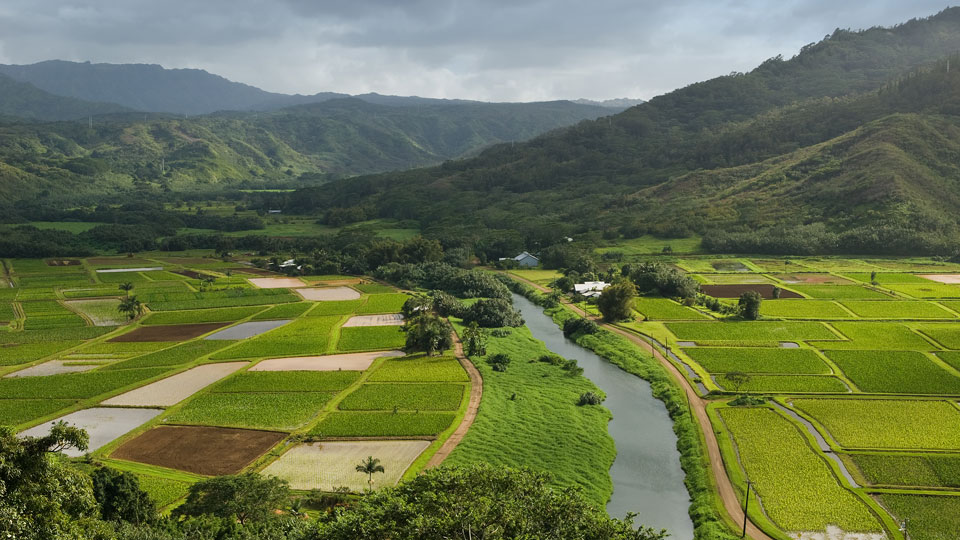 Der Hanalei River fließt durch die Taro-Felder in der Nähe der historischen Haraguchi-Reismühle auf Kauai, Hawaii - (Foto: © John Sartin / Shutterstock)