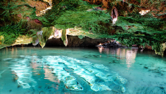 Die Gran Cenote bei Tulum in Mexiko - (Foto: ©davemantel/Getty Royalty Free)