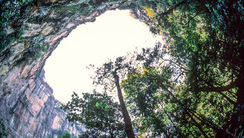 Eine der Dolinen in den Tepuis Venezuelas - (Foto: ©jmsilva/istock.com) 