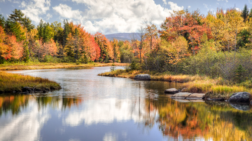 Maine River in bunter Pracht - (Foto: © Bill Swindaman/Getty Royalty Free)