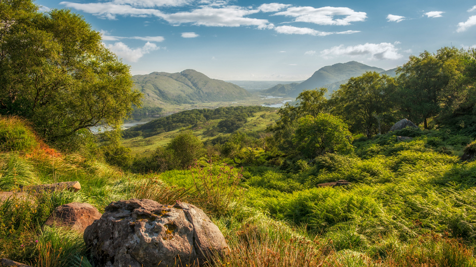 Der obere See und die umliegenden Hügel des Killarney-Nationalparks - (Foto: ©Nicolas Kipourax Paquet/Getty Images)