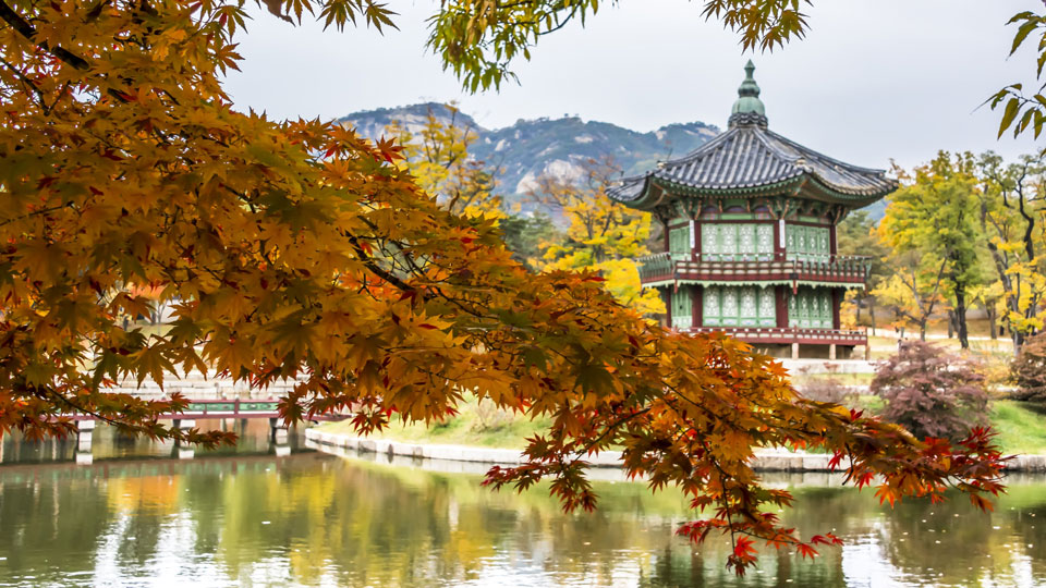 Japan oder Südkorea? Die zauberhafte Stimmung am Gyeongbokgung-Palast in Seoul erinnert an die alte japanische Kaiserstadt Kyoto. - (Foto: © Getty Images)