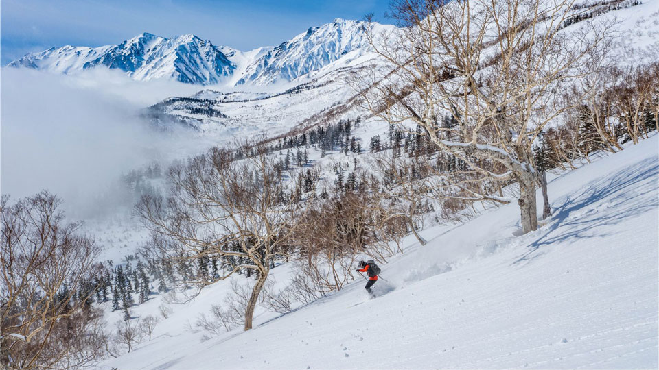 Skifahrerinnen und Skifahrer finden in Japan Pisten von Weltklasse - (Foto: © Felix Pope / Stocksy United)